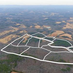 Photo #26 of 3364 NC Highway 66, Westfield, NC 17.5 acres