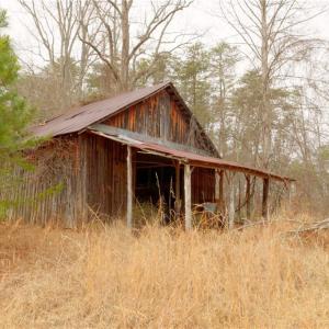 Photo #14 of 3364 NC Highway 66, Westfield, NC 17.5 acres