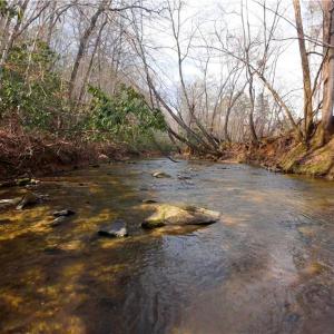 Photo #7 of 3364 NC Highway 66, Westfield, NC 17.7 acres