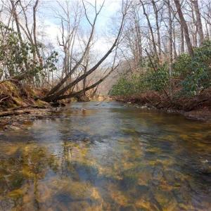 Photo #3 of 3364 NC Highway 66, Westfield, NC 17.7 acres