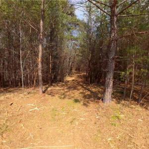 Photo #11 of 3364 NC Highway 66, Westfield, NC 17.7 acres