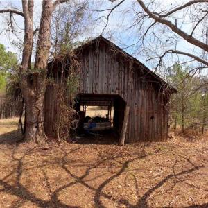 Photo #19 of 3364 NC Highway 66, Westfield, NC 17.7 acres