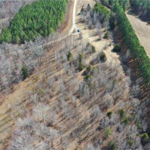 Photo #2 of Lake Farm, Yanceyville, NC 11.3 acres