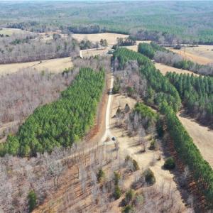 Photo #6 of Lake Farm, Yanceyville, NC 11.3 acres