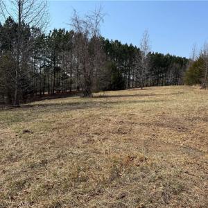 Photo #3 of Lake Farm, Yanceyville, NC 11.3 acres