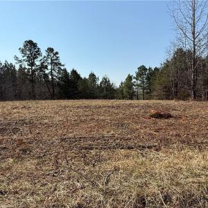 Photo #8 of Lake Farm, Yanceyville, NC 11.3 acres