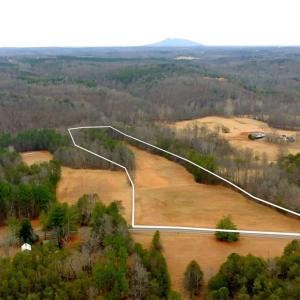 Photo #7 of 3361 NC Highway 66, Westfield, NC 28.8 acres
