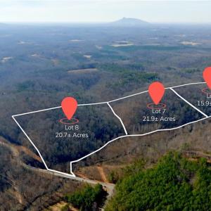 Photo #5 of 3361 NC Highway 66, Westfield, NC 28.8 acres