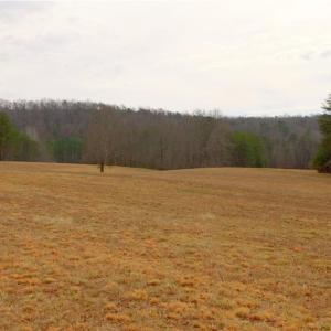 Photo #11 of 3361 NC Highway 66, Westfield, NC 28.8 acres