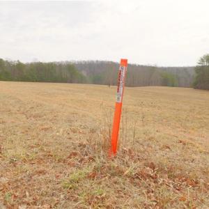 Photo #19 of 3361 NC Highway 66, Westfield, NC 28.8 acres