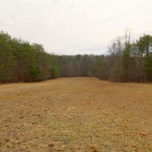 Photo #13 of 3361 NC Highway 66, Westfield, NC 30.5 acres