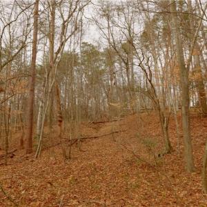 Photo #17 of 3361 NC Highway 66, Westfield, NC 30.5 acres