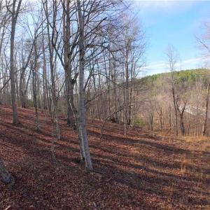 Photo #16 of 3361 NC Highway 66, Westfield, NC 30.5 acres