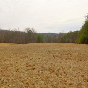 Photo #12 of 3361 NC Highway 66, Westfield, NC 30.5 acres