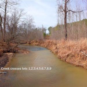 Photo #7 of 3361 NC Highway 66, Westfield, NC 30.5 acres