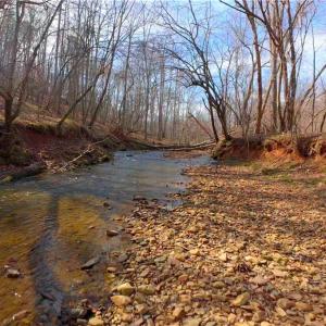 Photo #5 of 3361 NC Highway 66, Westfield, NC 30.5 acres