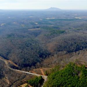 Photo #14 of 3361 NC Highway 66, Westfield, NC 30.5 acres