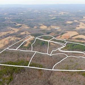 Photo #25 of 3361 NC Highway 66, Westfield, NC 30.5 acres