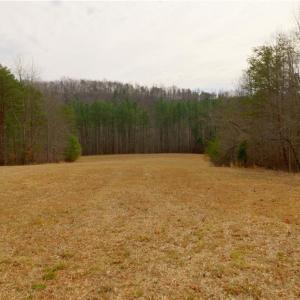 Photo #13 of 3361 NC Highway 66, Westfield, NC 32.4 acres