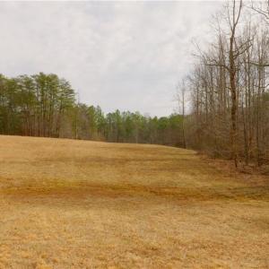 Photo #12 of 3361 NC Highway 66, Westfield, NC 32.4 acres
