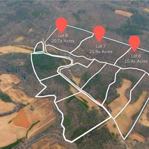 Photo #3 of 3361 NC Highway 66, Westfield, NC 32.4 acres