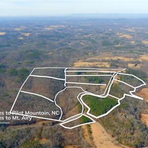 Photo #24 of 3361 NC Highway 66, Westfield, NC 32.4 acres