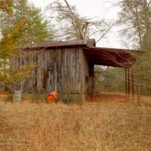 Photo #11 of 3361 NC Highway 66, Westfield, NC 32.4 acres