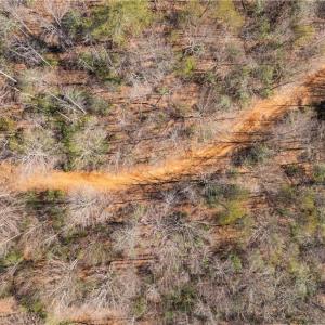 Photo #13 of NC Highway 89, Danbury, NC 22.2 acres