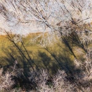 Photo #17 of NC Highway 89, Danbury, NC 22.2 acres