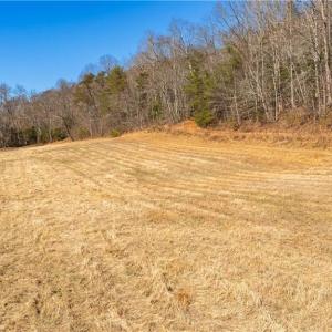 Photo #15 of NC Highway 89, Danbury, NC 22.2 acres