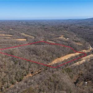 Photo #3 of NC Highway 89, Danbury, NC 22.2 acres