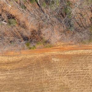 Photo #14 of NC Highway 89, Danbury, NC 22.2 acres