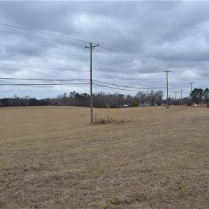 Photo #2 of 41 Acres NC Highway 770, Stoneville, NC 41.0 acres