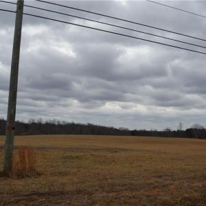 Photo #6 of 41 Acres NC Highway 770, Stoneville, NC 41.0 acres