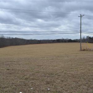 Photo #5 of 41 Acres NC Highway 770, Stoneville, NC 41.0 acres