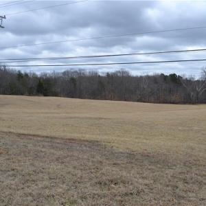 Photo #4 of 41 Acres NC Highway 770, Stoneville, NC 41.0 acres
