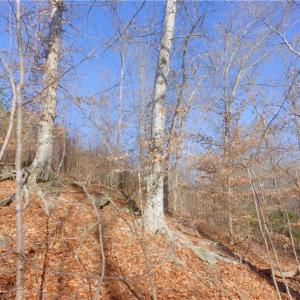 Photo #13 of 6 Roby Fulk, Pinnacle, NC 10.1 acres