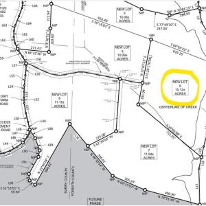 Photo #32 of 6 Roby Fulk, Pinnacle, NC 10.1 acres