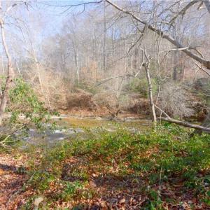 Photo #10 of 6 Roby Fulk, Pinnacle, NC 10.1 acres