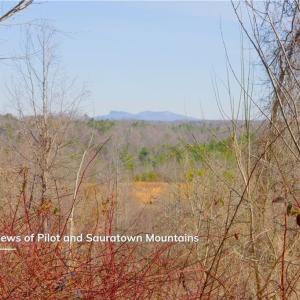 Photo #10 of 5 Roby Fulk, Pinnacle, NC 10.1 acres