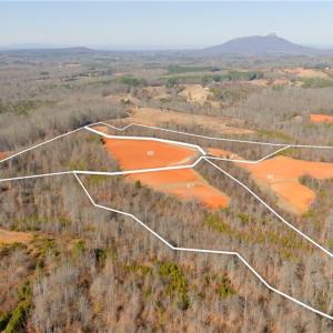 Photo #16 of 5 Roby Fulk, Pinnacle, NC 10.1 acres
