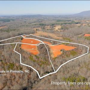Photo #15 of 5 Roby Fulk, Pinnacle, NC 10.1 acres