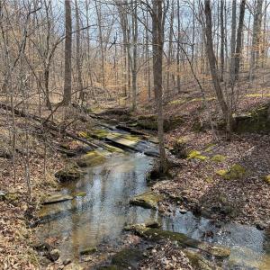 Photo #2 of 1200 Purcell, Reidsville, NC 64.9 acres