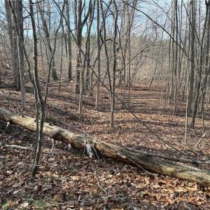 Photo #42 of 1200 Purcell, Reidsville, NC 64.9 acres