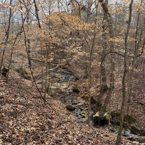 Photo #13 of 1200 Purcell, Reidsville, NC 64.9 acres