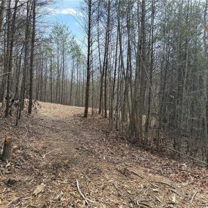 Photo #17 of 1200 Purcell, Reidsville, NC 64.9 acres
