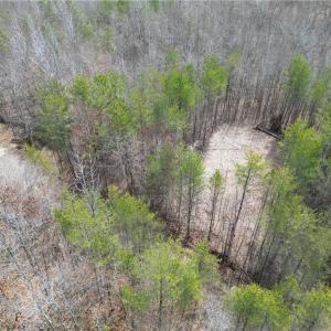 Photo #22 of 1200 Purcell, Reidsville, NC 64.9 acres