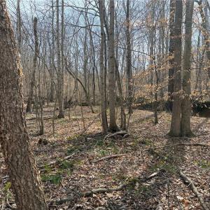 Photo #7 of 1200 Purcell, Reidsville, NC 64.9 acres