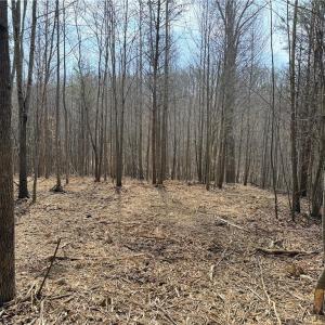 Photo #3 of 1200 Purcell, Reidsville, NC 64.9 acres