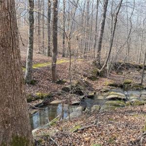 Photo #1 of 1200 Purcell, Reidsville, NC 64.9 acres